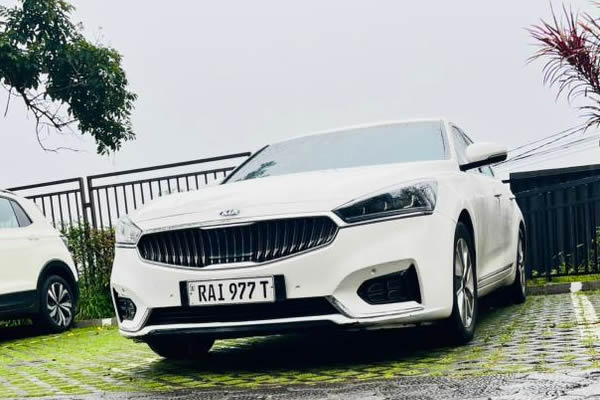 Essential shopping supports